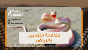 شركة مكافحة الثعابين بالرياض