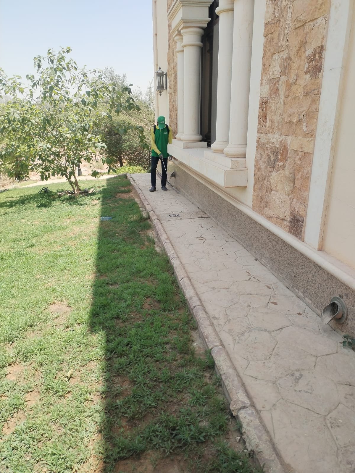 شركة رش حشرات بالرياض